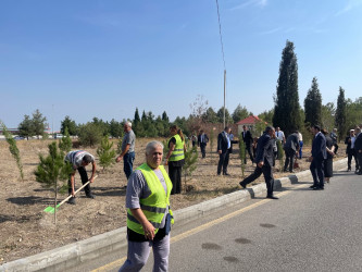 “Şəhərsalma və Memarlıq İli” çərçivəsində ağacəkmə aksiyası keçirilib
