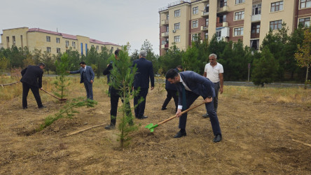 27 sentyabr-Anım günü ilə bağlı ağacəkmə aksiyası keçirilmişdir.