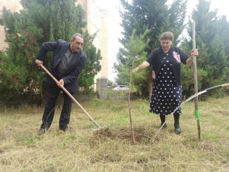 Şərqi Zəngəzur Regional Mədəniyyət İdarəsinin Kəlbəcər rayon nümayəndəliyinin tabeliyində olan müəssisələrdə " Yaşıl dünya naminə həmrəylik ili" ilə bağlı ağaclara texniki qulluq göstərilmiş,yaşıllıq zonası təmizlənmişdir.