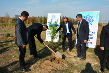 Yeni Azərbaycan Partiyasının yaranmasının  32-ci ildönümü Kəlbəcər rayonunda qeyd olunub.