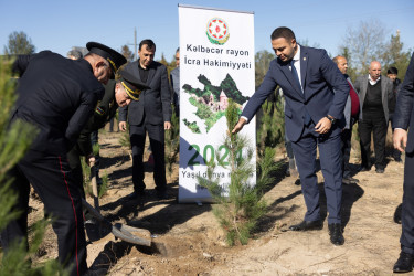 Kəlbəcər rayon İcra Hakimiyyəti tərəfindən “Yaşıl dünya naminə həmrəylik ili”çərçivəsində növbəti ağacəkmə aksiyası təşkil olunub.