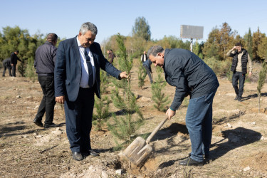 Kəlbəcər rayon İcra Hakimiyyəti tərəfindən “Yaşıl dünya naminə həmrəylik ili”çərçivəsində növbəti ağacəkmə aksiyası təşkil olunub.