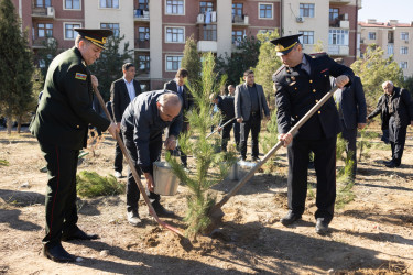 Kəlbəcər rayon İcra Hakimiyyəti tərəfindən “Yaşıl dünya naminə həmrəylik ili”çərçivəsində növbəti ağacəkmə aksiyası təşkil olunub.