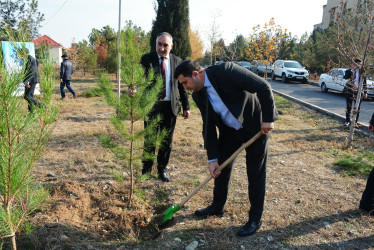 Yeni Azərbaycan Partiyasının yaranmasının  32-ci ildönümü Kəlbəcər rayonunda qeyd olunub.