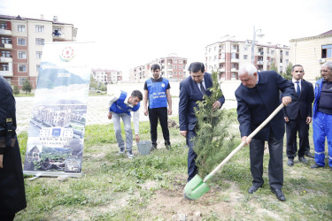 “Şəhərsalma və Memarlıq İli” çərçivəsində Kəlbəcər  Rayon İcra Hakimiyyətinin  təşkilatçılığı ilə ağacəkmə aksiyası  həyata keçirilib.