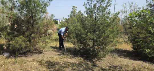 Kəlbəcərdə “Yaşıl dünya naminə həmrəylik ili” ilə bağlı,növbəti iməcilik aksiyası keçirildi.