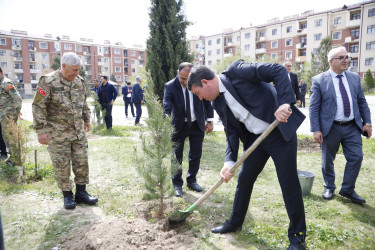 “Şəhərsalma və Memarlıq İli” çərçivəsində Kəlbəcər  Rayon İcra Hakimiyyətinin  təşkilatçılığı ilə ağacəkmə aksiyası  həyata keçirilib.