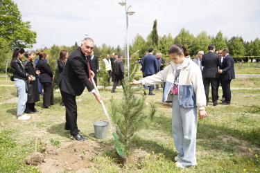 “Şəhərsalma və Memarlıq İli” çərçivəsində Kəlbəcər  Rayon İcra Hakimiyyətinin  təşkilatçılığı ilə ağacəkmə aksiyası  həyata keçirilib.