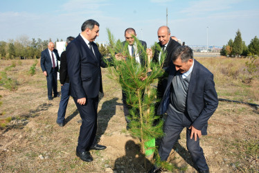 Yeni Azərbaycan Partiyasının yaranmasının  32-ci ildönümü Kəlbəcər rayonunda qeyd olunub.