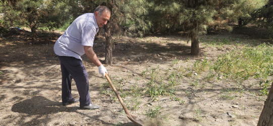 Kəlbəcərdə “Yaşıl dünya naminə həmrəylik ili” ilə bağlı,növbəti iməcilik aksiyası keçirildi.