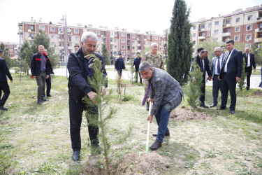 “Şəhərsalma və Memarlıq İli” çərçivəsində Kəlbəcər  Rayon İcra Hakimiyyətinin  təşkilatçılığı ilə ağacəkmə aksiyası  həyata keçirilib.