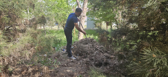 Kəlbəcərdə “Yaşıl dünya naminə həmrəylik ili” ilə bağlı,növbəti iməcilik aksiyası keçirildi.