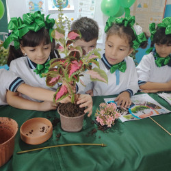 Şərqi Zəngəzur Regional Təhsil İdarəsinin Kəlbəcər rayon sektorunun tabeliyində olan məktəblərdə  “Yaşıl dünya naminə həmrəylik ili”ilə bağlı tədbirlər keçirlilmişdir.