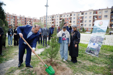 “Şəhərsalma və Memarlıq İli” çərçivəsində Kəlbəcər  Rayon İcra Hakimiyyətinin  təşkilatçılığı ilə ağacəkmə aksiyası  həyata keçirilib.