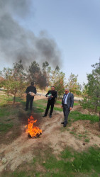 Kəlbəcər rayon İcra Hakimiyyəti yanında Məhvetmə Komissiyası rayon Polis şöbəsi tərəfindən aşkar edilmiş narkotik maddələrin məhv edilməsi istiqamətində tədbirlər görmüşdür.