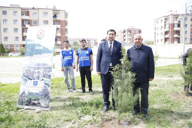 “Şəhərsalma və Memarlıq İli” çərçivəsində Kəlbəcər  Rayon İcra Hakimiyyətinin  təşkilatçılığı ilə ağacəkmə aksiyası  həyata keçirilib.