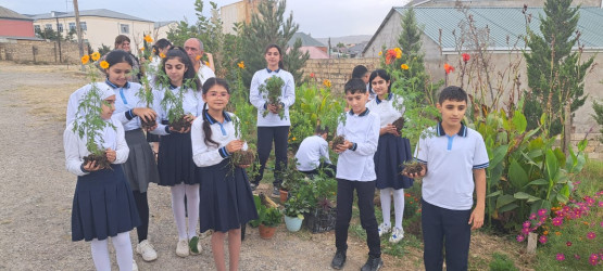 Şərqi Zəngəzur Regional Təhsil İdarəsinin Kəlbəcər rayon sektorunun tabeliyində olan məktəblərdə  “Yaşıl dünya naminə həmrəylik ili”ilə bağlı tədbirlər keçirlilmişdir.