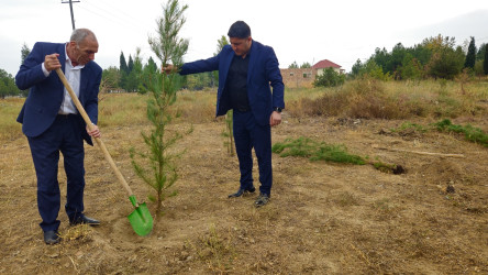 27 sentyabr-Anım günü ilə bağlı ağacəkmə aksiyası keçirilmişdir.