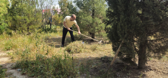 Kəlbəcərdə “Yaşıl dünya naminə həmrəylik ili” ilə bağlı,növbəti iməcilik aksiyası keçirildi.