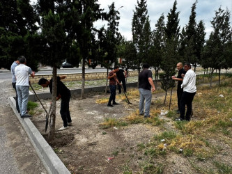 Kəlbəcər Rayon İcra Hakimiyyətinin  təşkilatçılığı ilə “Şəhərsalma və Memarlıq  ili”  çərçivəsində növbəti iməclik  aksiyası  həyata keçirilib