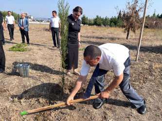 “Şəhərsalma və Memarlıq İli” çərçivəsində ağacəkmə aksiyası keçirilib