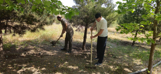 Kəlbəcərdə “Yaşıl dünya naminə həmrəylik ili” ilə bağlı,növbəti iməcilik aksiyası keçirildi.