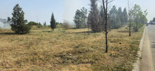 Kəlbəcərdə “Yaşıl dünya naminə həmrəylik ili” ilə bağlı,növbəti iməcilik aksiyası keçirildi.