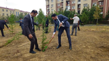 27 sentyabr-Anım günü ilə bağlı ağacəkmə aksiyası keçirilmişdir.