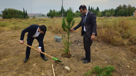 27 sentyabr-Anım günü ilə bağlı ağacəkmə aksiyası keçirilmişdir.