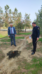 Kəlbəcər rayon İcra Hakimiyyəti yanında Məhvetmə Komissiyası rayon Polis şöbəsi tərəfindən aşkar edilmiş narkotik maddələrin məhv edilməsi istiqamətində tədbirlər görmüşdür.