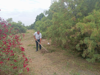 Kəlbəcər Rayon İcra Hakimiyyətinin  təşkilatçılığı ilə “Şəhərsalma və Memarlıq  ili”  çərçivəsində növbəti iməclik  aksiyası  həyata keçirilib
