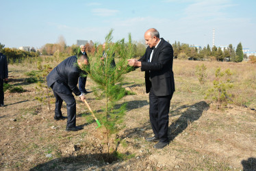 Yeni Azərbaycan Partiyasının yaranmasının  32-ci ildönümü Kəlbəcər rayonunda qeyd olunub.