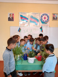 Şərqi Zəngəzur Regional Təhsil İdarəsinin Kəlbəcər rayon sektorunun tabeliyində olan məktəblərdə  “Yaşıl dünya naminə həmrəylik ili”ilə bağlı tədbirlər keçirlilmişdir.