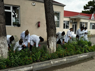 Kəlbəcər Rayon İcra Hakimiyyətinin  təşkilatçılığı ilə “Şəhərsalma və Memarlıq  ili”  çərçivəsində növbəti iməclik  aksiyası  həyata keçirilib