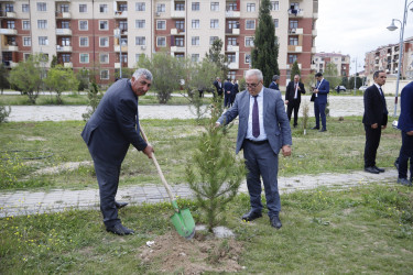 “Şəhərsalma və Memarlıq İli” çərçivəsində Kəlbəcər  Rayon İcra Hakimiyyətinin  təşkilatçılığı ilə ağacəkmə aksiyası  həyata keçirilib.