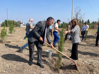 “Şəhərsalma və Memarlıq İli” çərçivəsində ağacəkmə aksiyası keçirilib