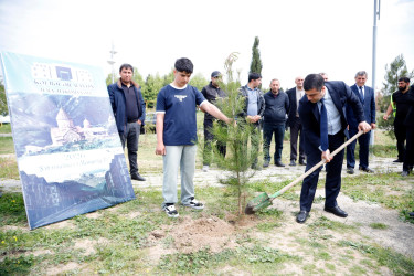 “Şəhərsalma və Memarlıq İli” çərçivəsində Kəlbəcər  Rayon İcra Hakimiyyətinin  təşkilatçılığı ilə ağacəkmə aksiyası  həyata keçirilib.