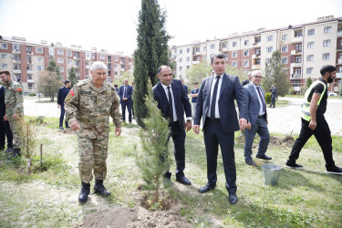 “Şəhərsalma və Memarlıq İli” çərçivəsində Kəlbəcər  Rayon İcra Hakimiyyətinin  təşkilatçılığı ilə ağacəkmə aksiyası  həyata keçirilib.