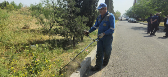 Kəlbəcərdə “Yaşıl dünya naminə həmrəylik ili” ilə bağlı,növbəti iməcilik aksiyası keçirildi.