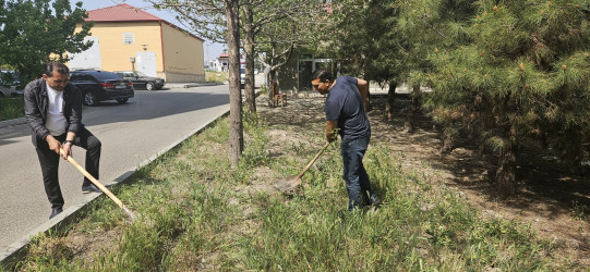 Kəlbəcərdə “Yaşıl dünya naminə həmrəylik ili” ilə bağlı,növbəti iməcilik aksiyası keçirildi.