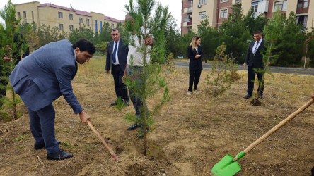 27 sentyabr-Anım günü ilə bağlı ağacəkmə aksiyası keçirilmişdir.