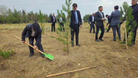 27 sentyabr-Anım günü ilə bağlı ağacəkmə aksiyası keçirilmişdir.