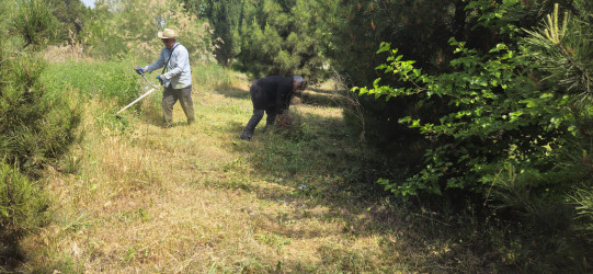 Kəlbəcərdə “Yaşıl dünya naminə həmrəylik ili” ilə bağlı,növbəti iməcilik aksiyası keçirildi.