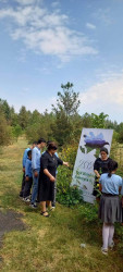 Şərqi Zəngəzur Regional Mədəniyyət İdarəsinin Kəlbəcər rayon nümayəndəliyinin tabeliyində olan müəssisələrdə " Yaşıl dünya naminə həmrəylik ili" ilə bağlı ağaclara texniki qulluq göstərilmiş,yaşıllıq zonası təmizlənmişdir.