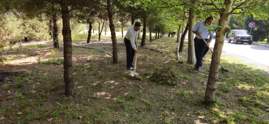 Kəlbəcərdə “Yaşıl dünya naminə həmrəylik ili” ilə bağlı,növbəti iməcilik aksiyası keçirildi.