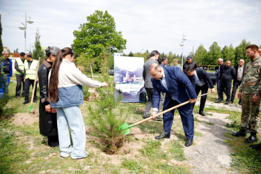 “Şəhərsalma və Memarlıq İli” çərçivəsində Kəlbəcər  Rayon İcra Hakimiyyətinin  təşkilatçılığı ilə ağacəkmə aksiyası  həyata keçirilib.