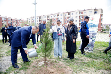 “Şəhərsalma və Memarlıq İli” çərçivəsində Kəlbəcər  Rayon İcra Hakimiyyətinin  təşkilatçılığı ilə ağacəkmə aksiyası  həyata keçirilib.