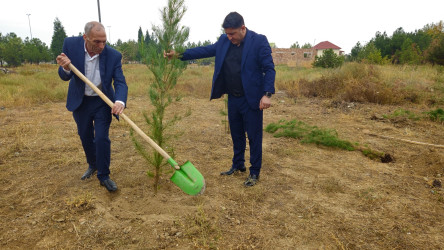 27 sentyabr-Anım günü ilə bağlı ağacəkmə aksiyası keçirilmişdir.