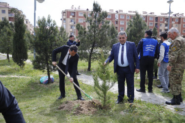 “Şəhərsalma və Memarlıq İli” çərçivəsində Kəlbəcər  Rayon İcra Hakimiyyətinin  təşkilatçılığı ilə ağacəkmə aksiyası  həyata keçirilib.