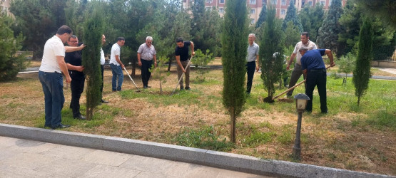 Kəlbəcər Rayon İcra Hakimiyyətinin  təşkilatçılığı ilə “Şəhərsalma və Memarlıq  ili”  çərçivəsində növbəti iməclik  aksiyası  həyata keçirilib